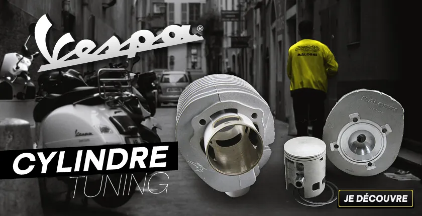 Cylindre Vespa Classic Origine Malossi Polini