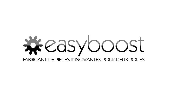 Entretenez votre maxiscooter avec Easyboost !